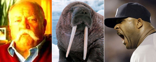 Paul McCartney has nothing on these three