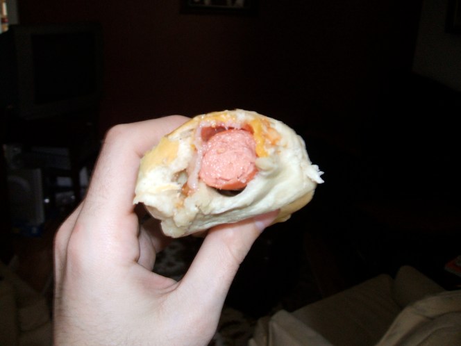 This is what Biscuitdog looks like.